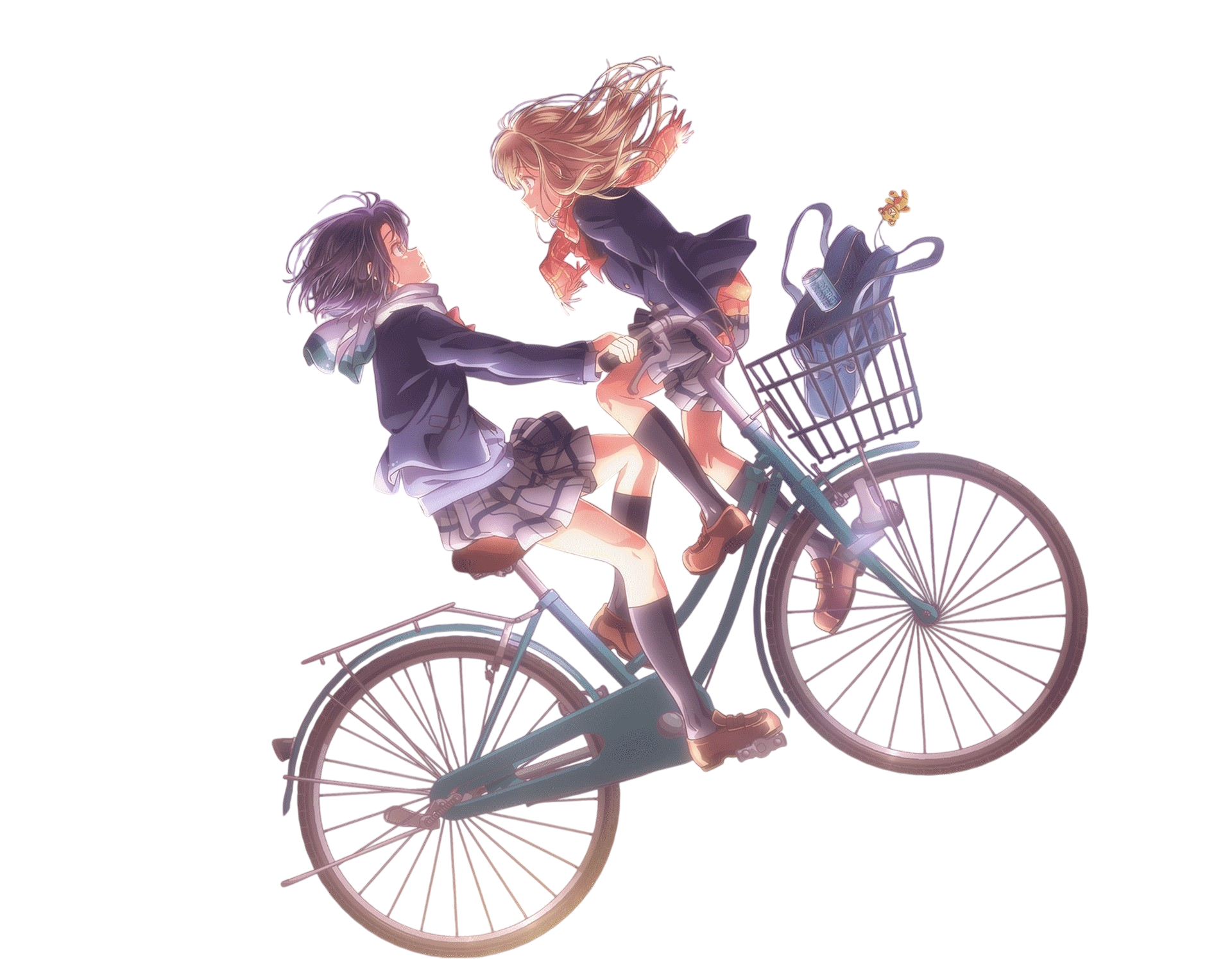 Bicicleta Adachi