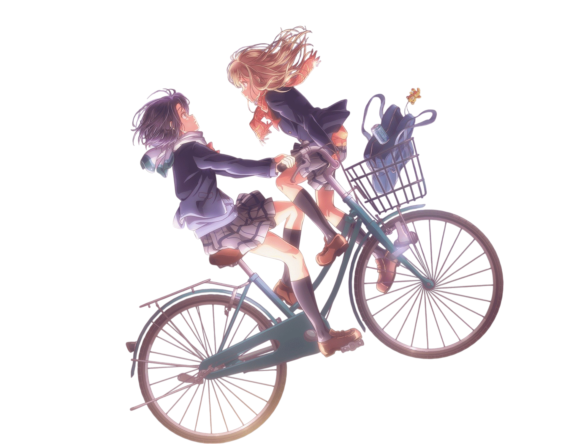 Bicicleta Adachi